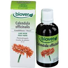 Souci (calendula officinalis)