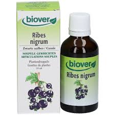 Cassis (ribes nigrum)